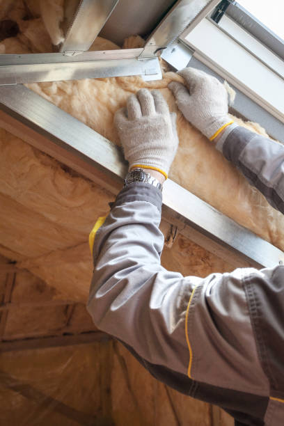 Best Insulation Installation Services in Blue Ridge, AL