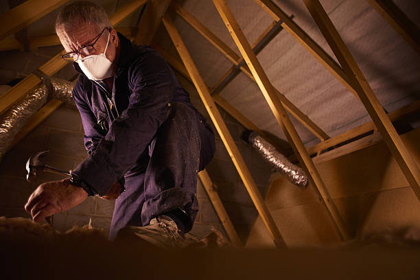 Best Commercial Insulation in Blue Ridge, AL