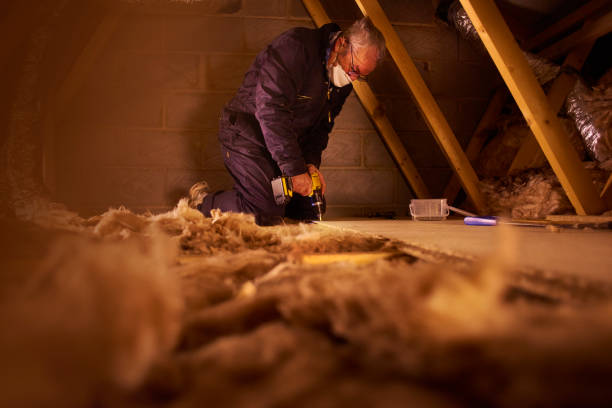 Best Residential Insulation in Blue Ridge, AL